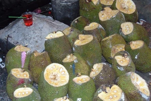 Đại biểu HĐND mua trái mít, được tặng... thuốc bảo quản