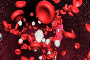 Từ 1-5: Thêm hy vọng cho người bị ung thư máu