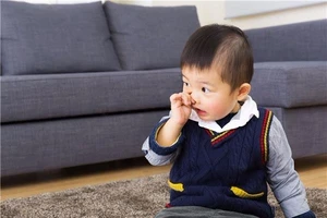 Muốn khoẻ thì ăn... ráy mũi?