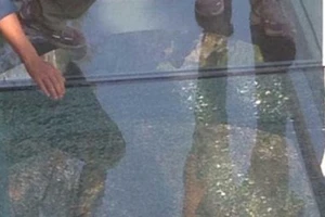 Cầu kính Trung Quốc bị nứt, du khách hoảng sợ bỏ chạy