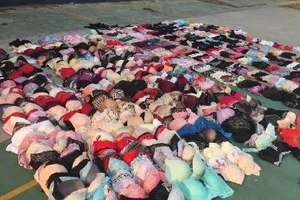 Người đàn ông trộm hàng trăm đồ lót nữ bằng cần câu