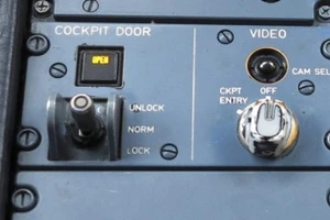 Hành khách đá cửa buồng lái, máy bay hạ cánh khẩn