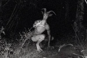 Xôn xao vì tin đồn xuất hiện ‘quái vật người dê’ bí ẩn