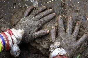 Bánh phân bò ‘cháy hàng’ ở Ấn Độ