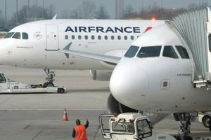 Giấu bé gái 4 tuổi trong hành lý mang lên máy bay sang Pháp