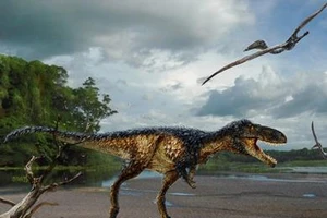 Giải mã bí ẩn sự tiến hóa của khủng long bạo chúa
