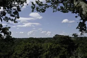 Rơi máy bay trong lúc huấn luyện, toàn bộ 22 người thiệt mạng