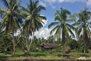 Trực thăng Malaysia chở nhiều quan chức cấp cao mất tích bí ẩn