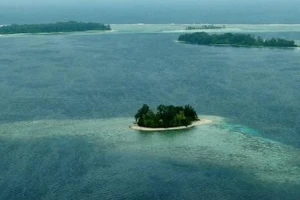 5 đảo ở Thái Bình Dương bị ‘nuốt chửng’ do nước biển dâng