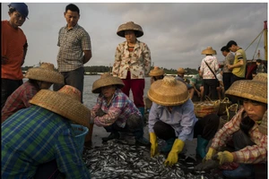 Lần thứ 18, Trung Quốc ngang nhiên cấm đánh bắt cá ở biển Đông