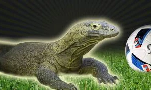 Lộ diện 'nhà tiên tri' siêu hơn bạch tuộc Paul