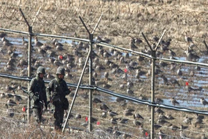 Triều Tiên tăng cường cài mìn ở Khu phi quân sự liên Triều