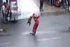 Chó dữ tấn công 20 người trên đường phố Trung Quốc 