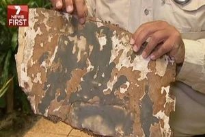 MH370 có thể đã phát nổ trên không