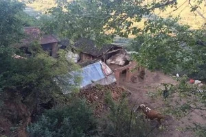 Trung Quốc: Mẹ giết 4 con rồi tự sát vì quá nghèo