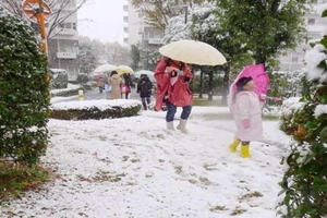Tokyo đón đợt tuyết bất ngờ sau hơn nửa thế kỷ