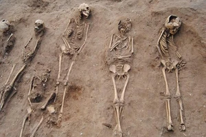 Phát hiện 48 bộ xương chứa bí ẩn về 'cái chết đen'