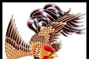 Ý nghĩa hình xăm con gà