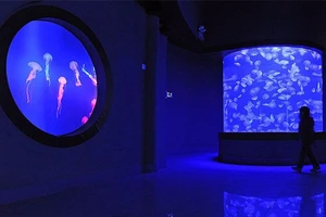 Trung Quốc xây đài quan sát dưới nước ở biển Đông