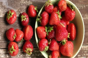 Công bố 12 loại rau quả chứa nhiều thuốc trừ sâu nhất