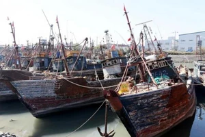 Hàn Quốc lại truy quét tàu TQ đánh cá trái phép