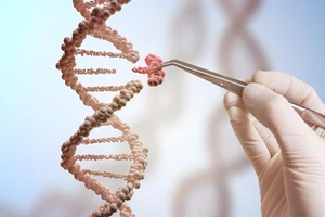 Tìm ra phương pháp tiêu diệt virus HIV