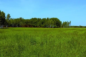 Ông Putin muốn tặng đất cho người gốc Nga hồi hương