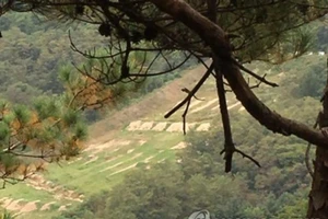 Đạn lạc 400 m, lính Hàn Quốc thiệt mạng gần biên giới