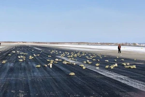 Máy bay Nga bung cửa, 3,4 tấn vàng rơi khắp đường băng
