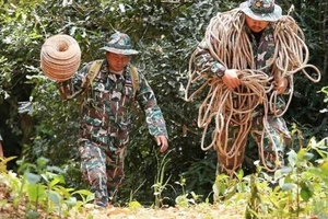 Thợ săn tổ yến quần nát núi tìm đường cứu đội bóng Thái Lan