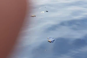 Máy bay Indonesia gặp nạn mới thực hiện 800 giờ bay