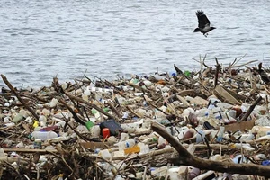 Malaysia chuẩn bị trả lại 450 tấn rác cho hàng loạt nước