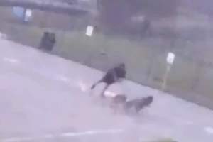 Video: Người đàn ông bị sét đánh bất tỉnh 