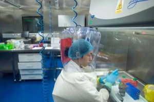 Một nhân viên làm việc trong phòng thí nghiệm P4 của Viện Virus học Vũ Hán. 