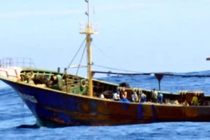 Chuyên gia chống buôn người từng cảnh báo tình trạng các thuyền viên trên các tàu cá bị hành hạ, làm việc quá sức và bạo lực dẫn đến tử vong. Ảnh: KYODO