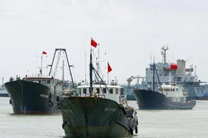 Tàu cá Nhật hoạt động nơi khác để tránh đụng độ tàu cá TQ
