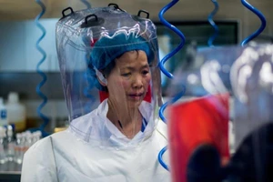 Nữ 'người dơi' Trung Quốc lên tiếng về nguồn gốc COVID-19