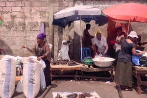Truy tìm 'Bệnh X' lây nhanh như COVID-19, nguy hiểm như Ebola