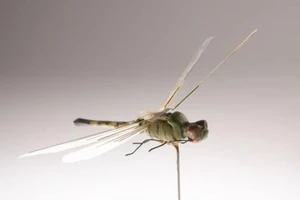 Vì sao Mỹ chưa bao giờ dùng UAV nhỏ như chuồn chuồn để do thám đối thủ?