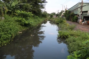 Sắp giải tỏa gần 500 hộ dân để cải tạo một con rạch ở quận Bình Tân