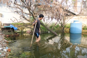 TP Thủ Đức: Hẻm ngập triền miên, người dân bỏ nhà đi thuê trọ