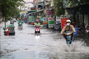 Khi nào đường Sinco, đường Chiến Lược và nhiều khu vực quận Bình Tân hết ngập?