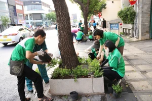 Trồng 1.800 cây hoa ngũ sắc dọc đường huyết mạch vào sân bay Tân Sơn Nhất 