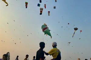 Cận cảnh 100 cánh diều khổng lồ khoe sắc ở Hóc Môn 