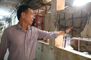 Chung cư Thanh Đa xuống cấp trầm trọng, cần khẩn trương tính toán