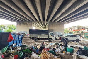 TP.HCM rà soát toàn bộ dạ cầu làm kho, bãi vật tư trước 20-10