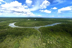 TP.HCM phê duyệt 6 dự án trọng điểm áp dụng cơ chế, chính sách đặc thù