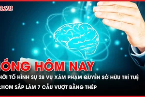 Trong ba tuần, khởi tố hình sự 28 vụ việc xâm phạm quyền sở hữu trí tuệ; TP.HCM sắp làm 7 cầu vượt bằng thép