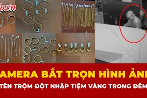 Làm ăn thua lỗ, đột nhập tiệm vàng lấy tài sản hơn 3 tỉ trong đêm