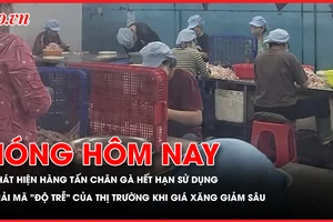 Nóng hôm nay: Phát hiện hàng tấn chân gà hết hạn sử dụng; Bệnh viện Bạch Mai cơ sở 2 chính thức 'sáng đèn'